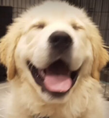 ben