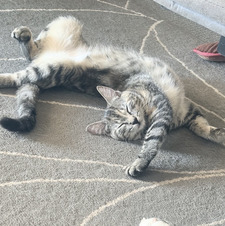 Ella