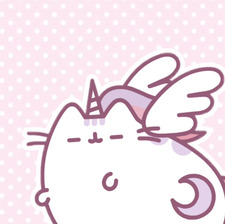 plusheenunicornsprinkles