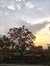 Shubham...