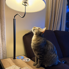 Julie