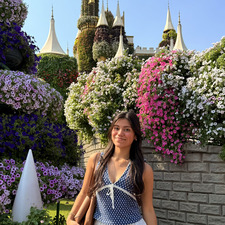 aylin