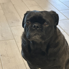 Michelle Kern