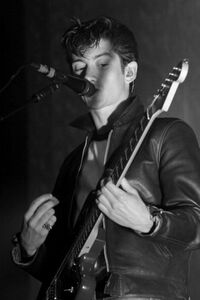 ୨୧・・Arctic Monkeys Fan・・୨୧ (Alex Turner ❤)