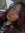 Mady