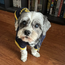 Kirk