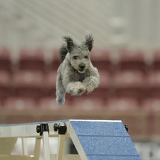 Kerry Smith