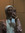 Malak Saleh