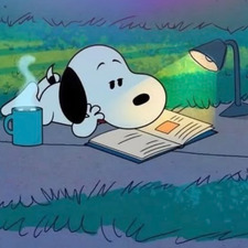 reader❤️