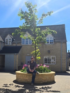 Daniel Myatt