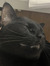 Matilde
