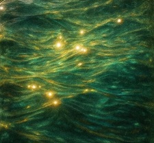 RAY