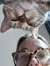 Katie M...