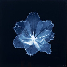 Catherine Johnson