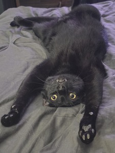 Jason