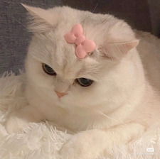 Asma