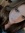 Riley Branning