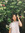 Phương Linh