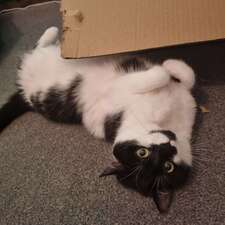 Gilly!