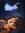 Eloy Bouzas