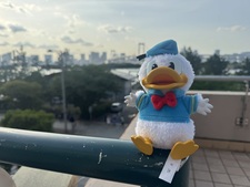 ぽぽぽぽぽぽ