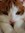 Alistair