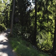 trollkotten