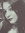 Alison