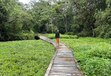 Prithika