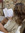 Jordana