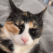 Mal