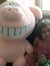Calbear