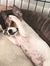 Charlee...