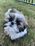 Addie
