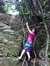 Sylvan ...