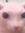 Hayden Beale