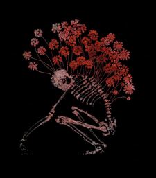Jannis
