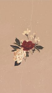 Moonlight Flower