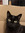 Gladys Flores