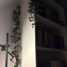 Clemence Bernard
