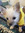 member photo member photo