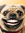 Nathan P