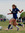 Addie Bruinsma