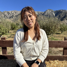 Danbi