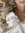 nati ʚїɞ
