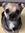 Keiko °❀⋆.ೃ࿔*:･