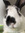 Ofelia