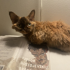 Matilda