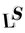 L Sig