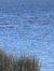 Sorianna C